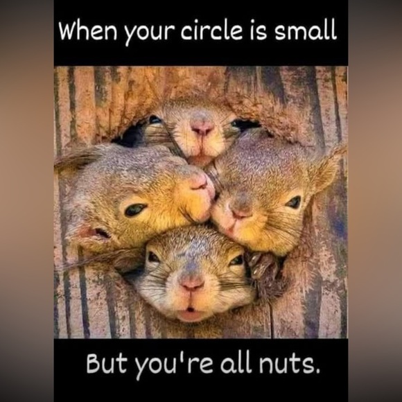 Cady’s Creations is Live! Share Show! Like to know when I go Live! - Picture 5 of 7